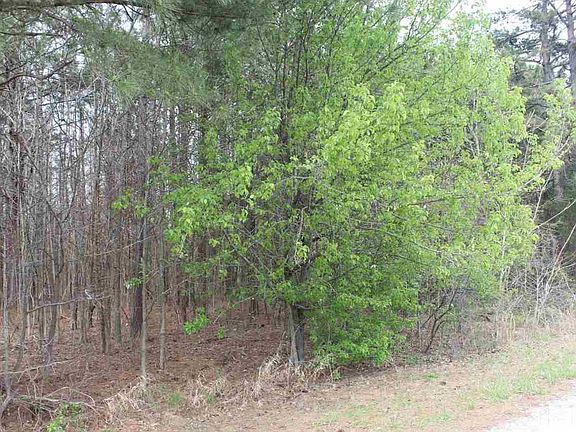 5th image of 8 Windy Creek Cir