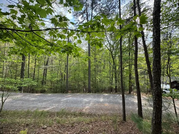 LOT 1188 Gibe Ct, Ellijay, GA 30540