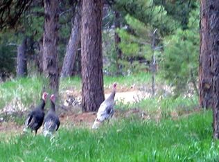 742 Rist Creek Rd, Bellvue, CO 80512