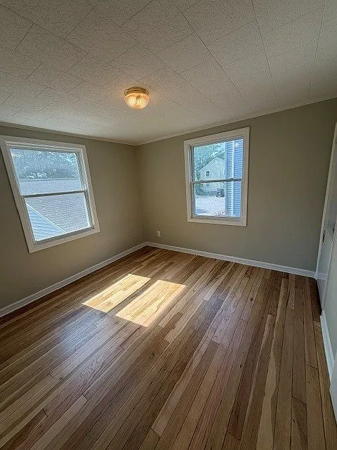 1 bed, 542 sqft, $1,995 — Photo 4