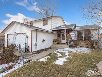 1000 Hemlock Dr, Windsor, CO, 80550