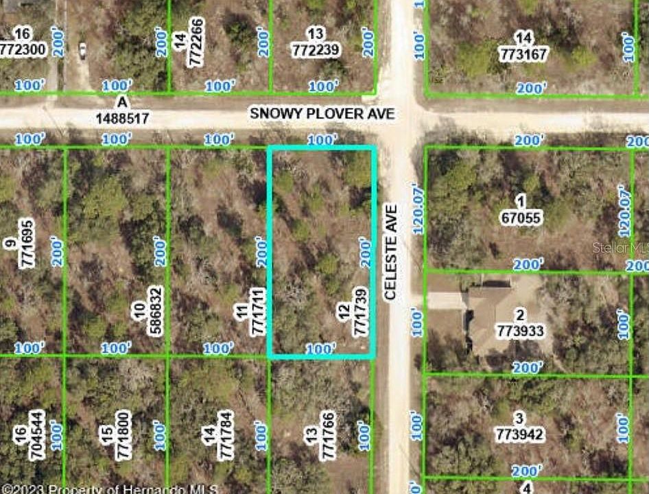 1st image of 13290 SNOWY PLOVER AVENUE LOT 12
