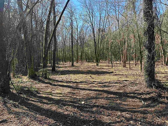 3rd image of Lots 80 81 234 Cliff Rd