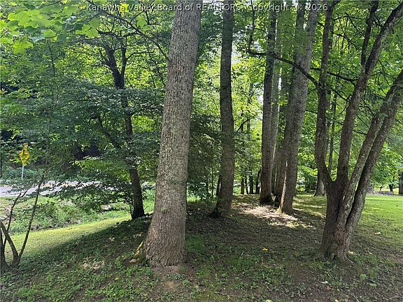 4th image of 3061 Big Ugly Creek Rd