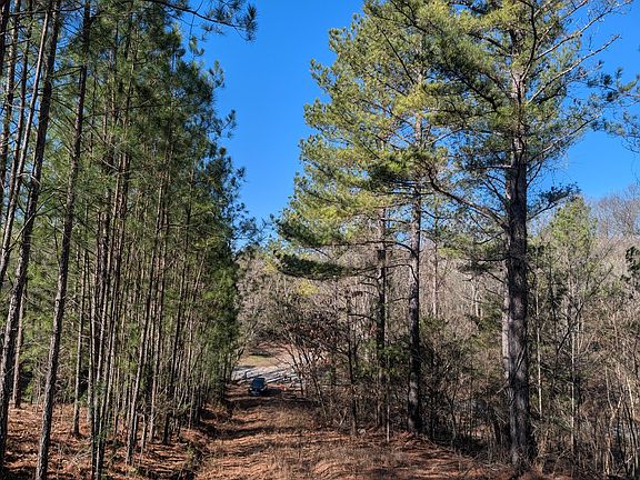 4th image of 1902 Horner Hollow Rd