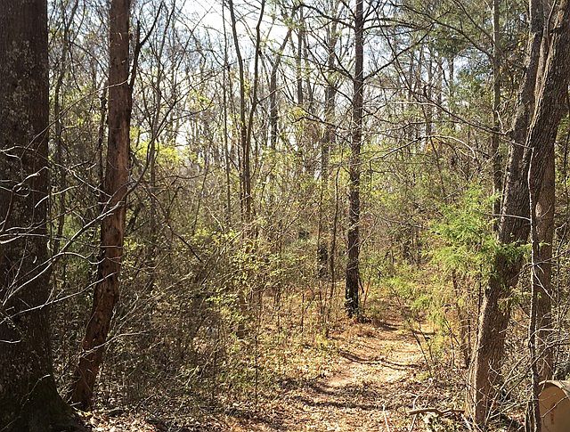 2nd image of 3822 Shady Grove Rd
