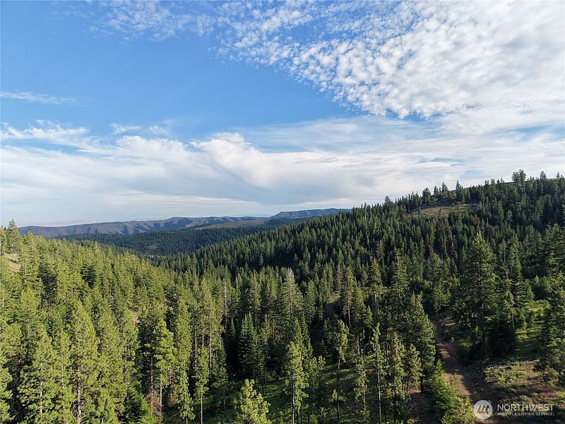 4th image of 1524 Nasty Creek Road