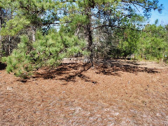 5th image of 213 Pine Branch Ln