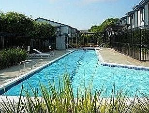 Adult Lap Pool