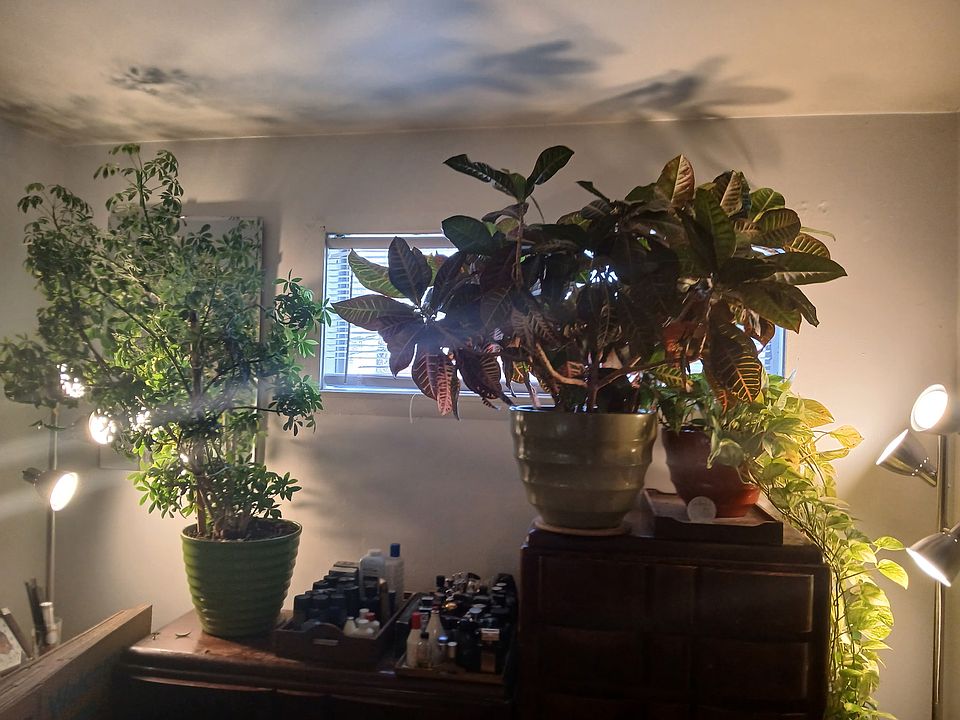 1st image of 3205 N 6th St APT 3