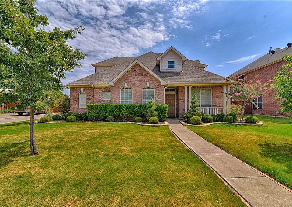 Premium Oversized lot