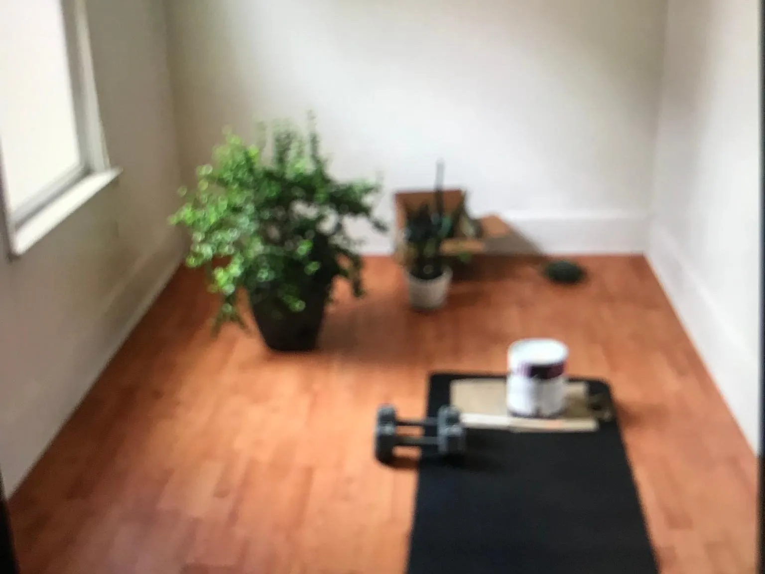 31 Newbern Ave — Photo 3