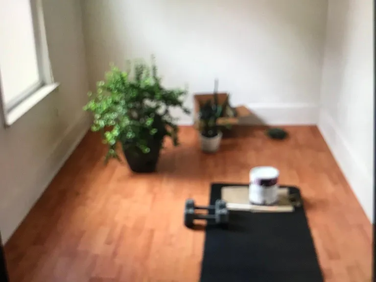 31 Newbern Ave #1 — Photo 3