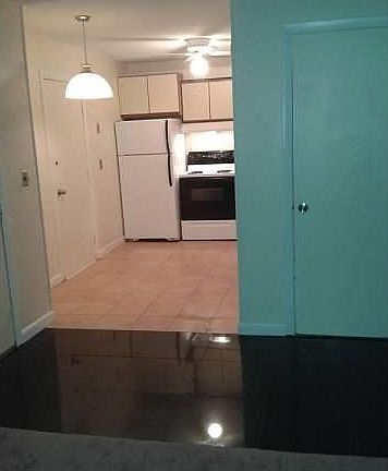 Kitchen and entrance