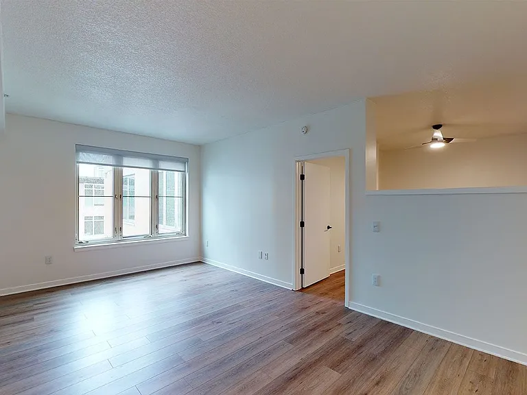 Apartment living room with wood-style flooring.