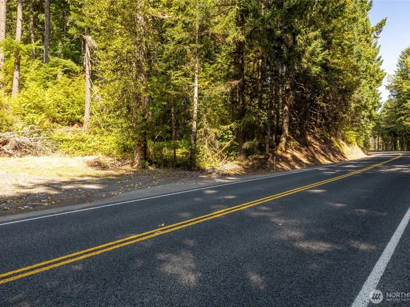 0 Lt 1&2 Skate Creek Road S, Packwood, WA 98361