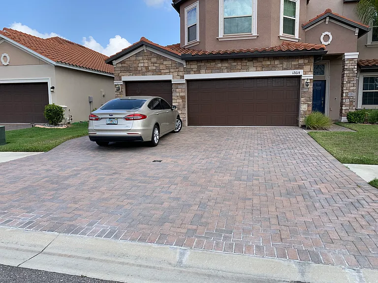Cinnamon Fern Dr — Photo 7