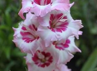 1 Surrey Ln, Cumberland Foreside, ME 04110