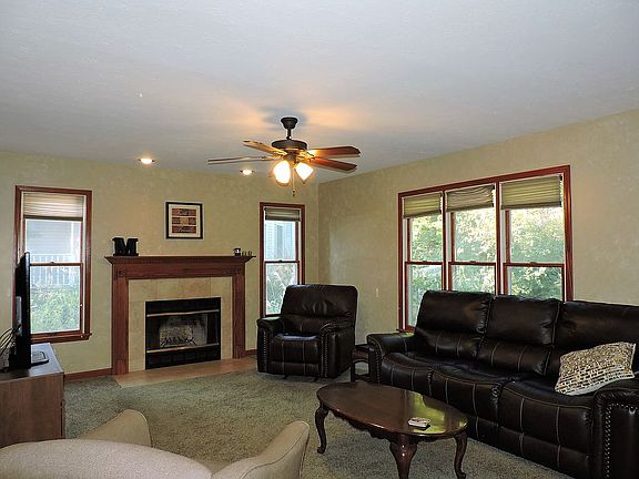wood burning fireplace 