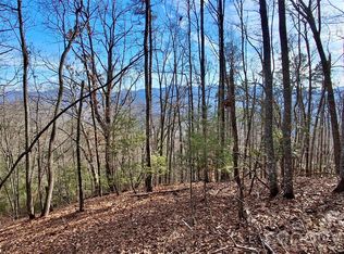 0 Briarwood Rd, Sylva, NC 28779