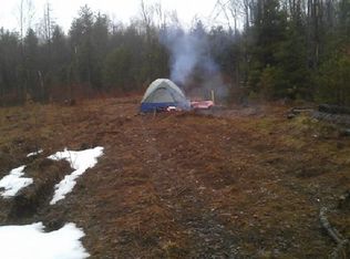 479 Mang Rd, Little Falls, NY 13365