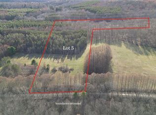 LOT 5 Goddards Rd LOT 5, Mount Vision, NY 13810