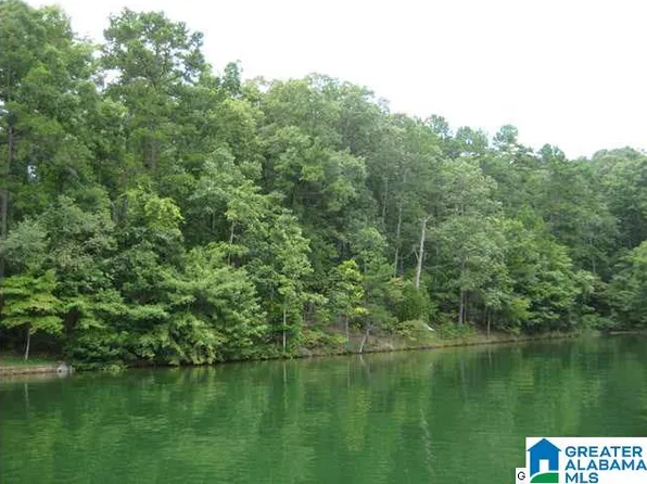 0 Robin Dr #45, Wedowee, AL 36278