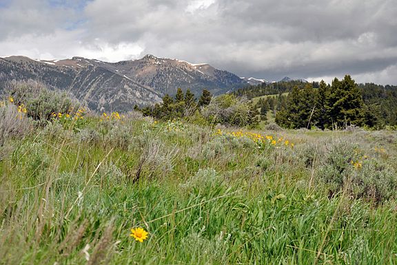 5th image of Lot 2b Bridger Hills Drive