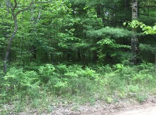 6338 W Nine Mile Rd, Irons, MI 49644