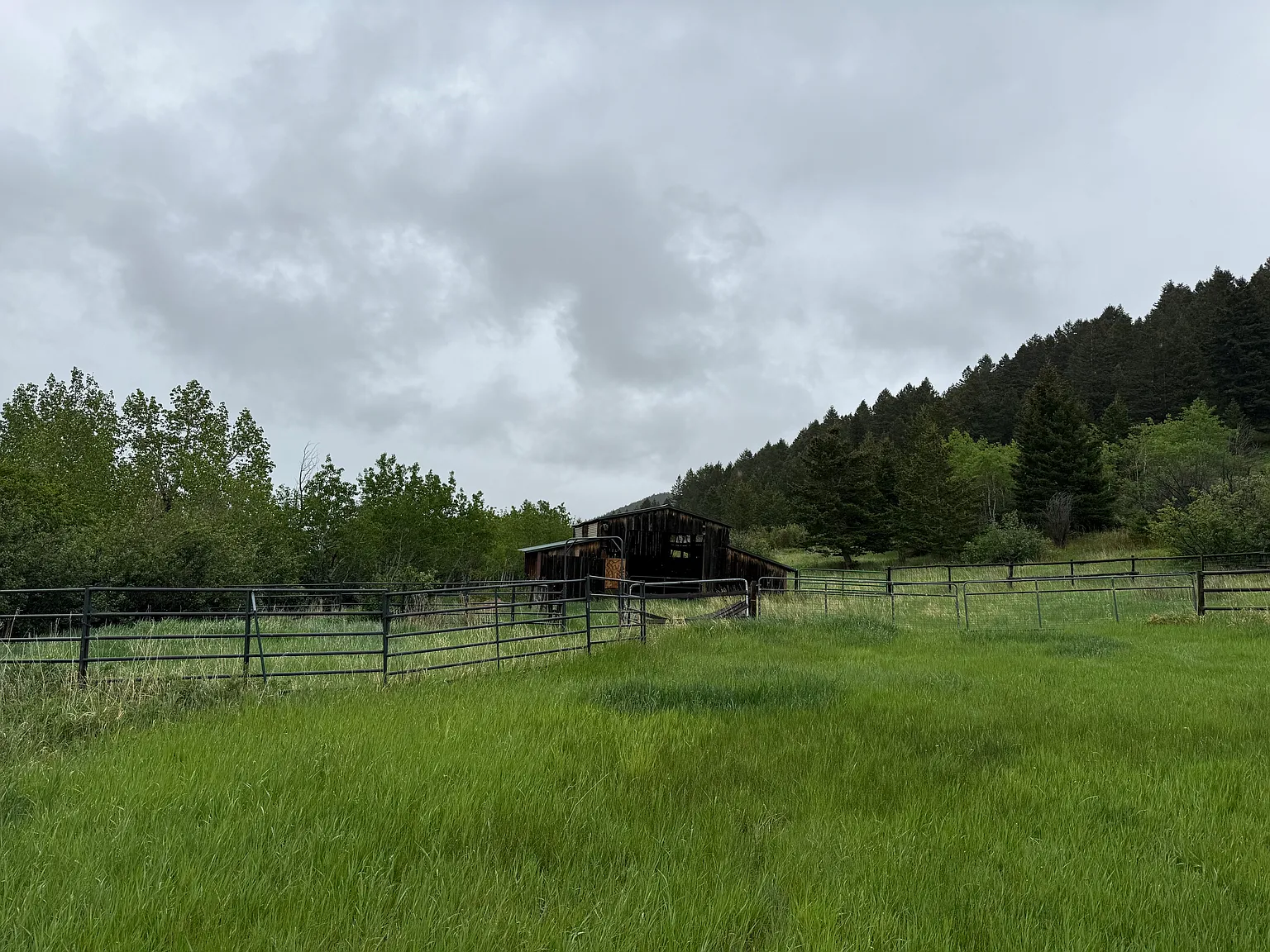 3 bed, 2.5 bath, 1966 sqft, $3,000 — Photo 3