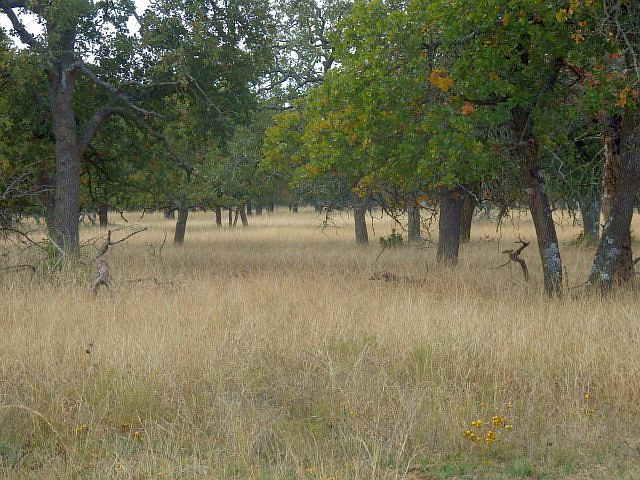1st image of LOT 6 Vintage Oaks Dr