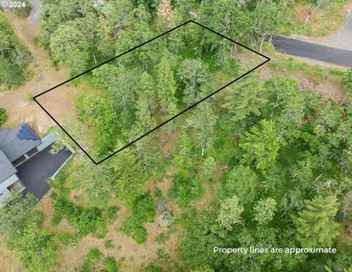 Coyote Ct #46, Mosier, OR, 97040