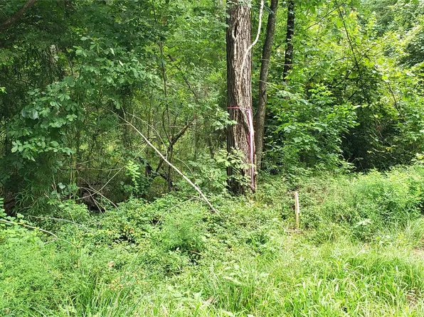 80 Morris Creek Rd, Coldspring, TX 77331