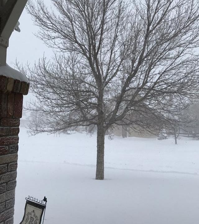 2nd image of 11801 Bent Oaks St