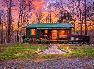 82 Dawgs Dr, Mineral Bluff, GA 30559