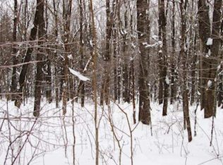 On Pine Haven Rd, Butternut, WI 54514