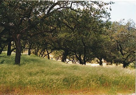 Paved Road + utilities