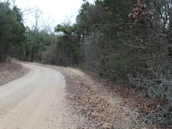 1904180000000 Pine Hollow Rd, Protem, MO 65733