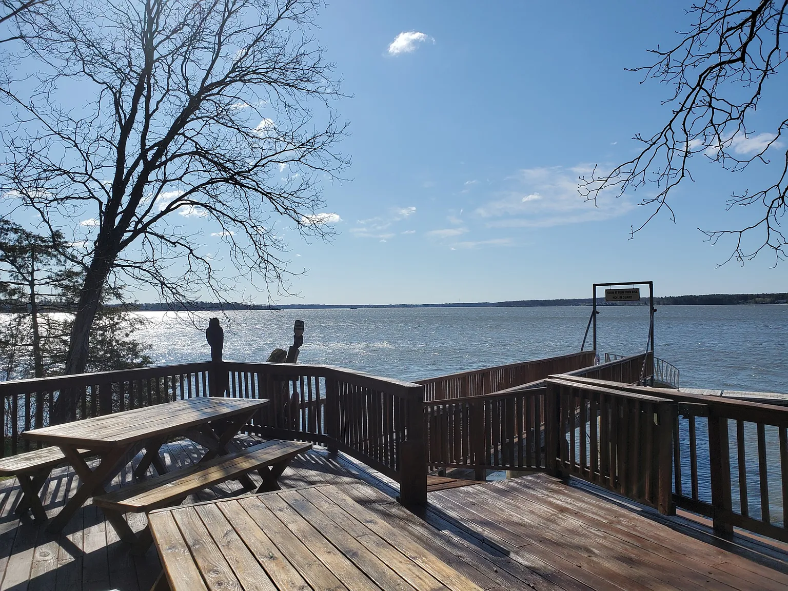 2 bed, 800 sqft, $3,500 — Photo 4