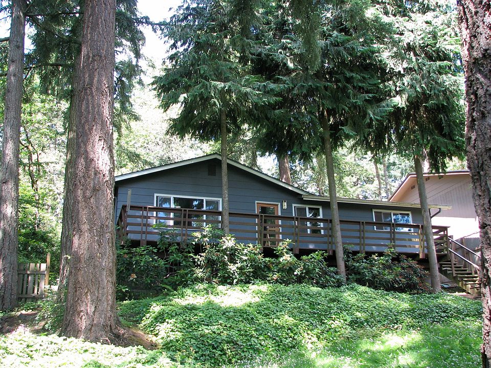 Back yard view