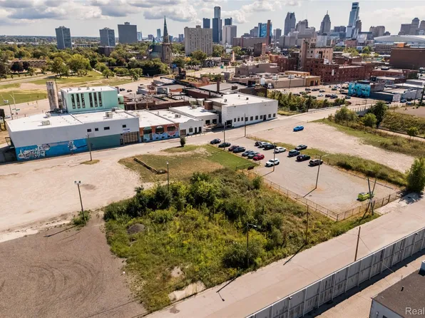 1956 Alfred St, Detroit, MI 48207