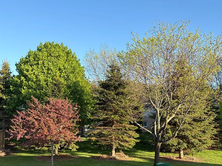 55 Regina Blvd — Photo 14