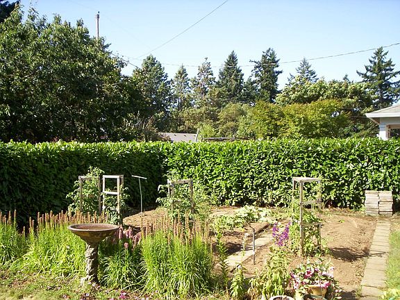 Garden Area