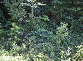 4712 Jones Cove Rd, Cosby, TN 37722