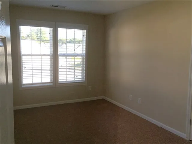 3919 Carolina Cherry Dr — Photo 13