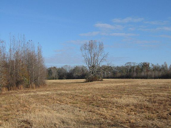 5th image of 8831 Tuck Persons Hwy