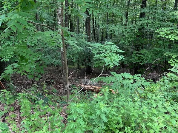 Faber Circle 42 #40-41-43, Tannersville, PA 18372