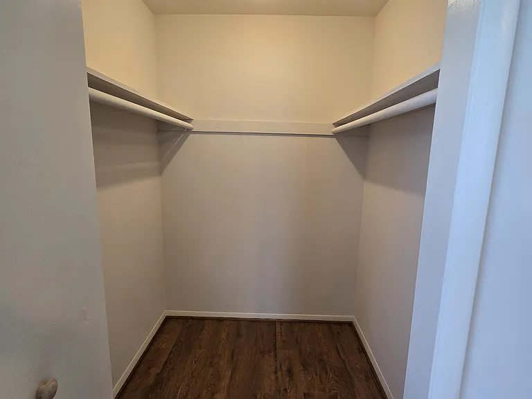 Walk-in Closet, master bedroom