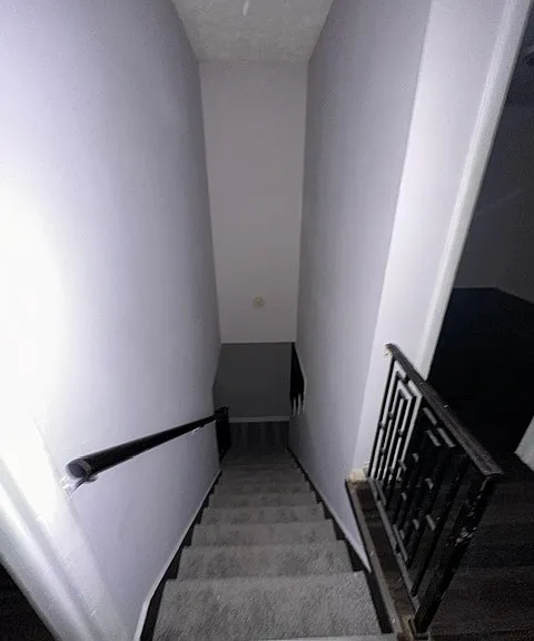 1090 3rd St #3 — Photo 17