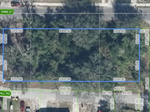 333 Prof Sims St, Avon Park, FL 33825